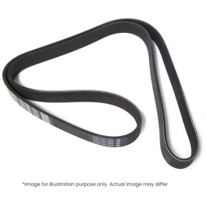 VW / Ford / Seat Fan Belt 6PK1265